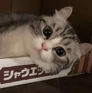 😍