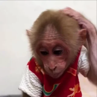 🧐