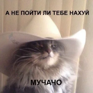 🤠