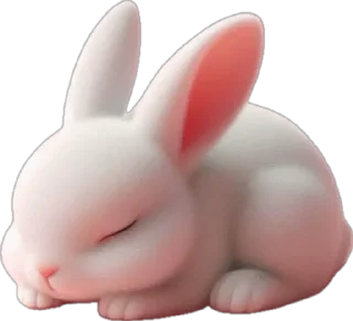 😴