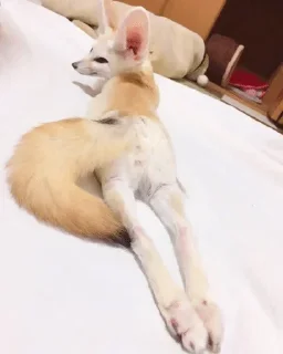 🔞