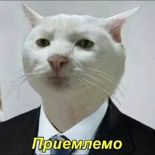 👍