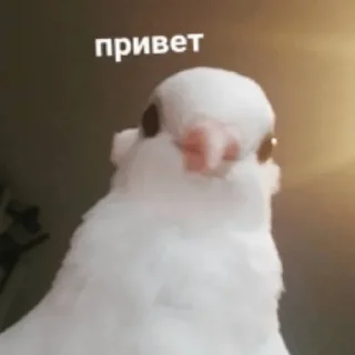 👋