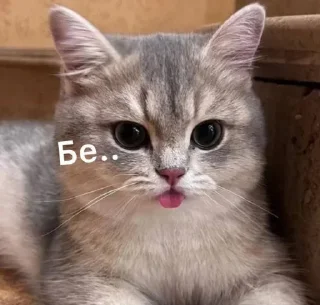 😛