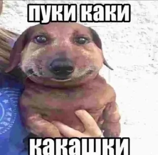 🥺