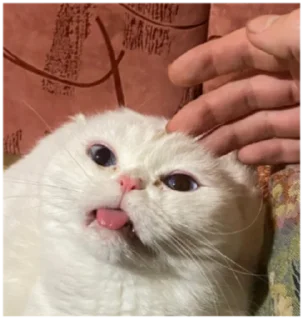 😄
