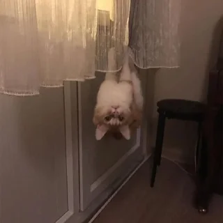 🙃
