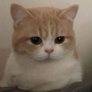 😕