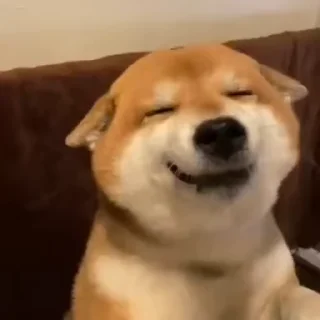 🙂