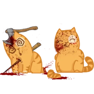 🐱