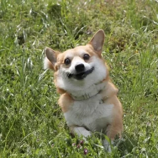 😄