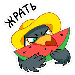 🍉