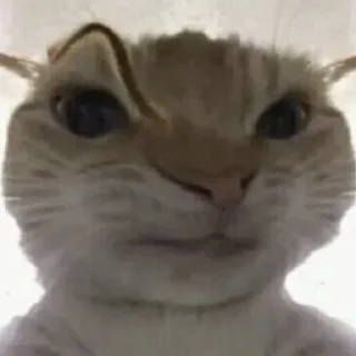 😨