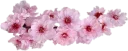 〰