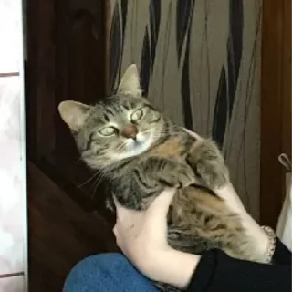 😚