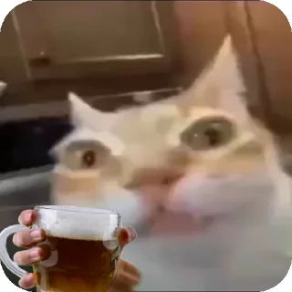 🍻