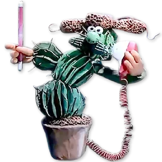 🌵