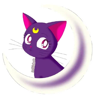 🌙