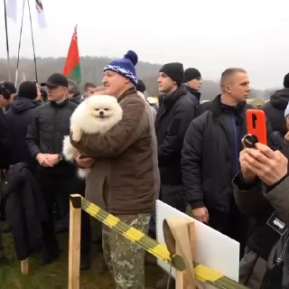 🐶