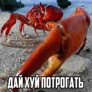 🦀