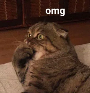 🤭