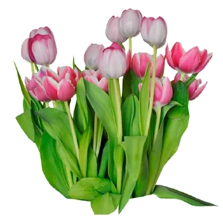 🌷