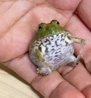 😯