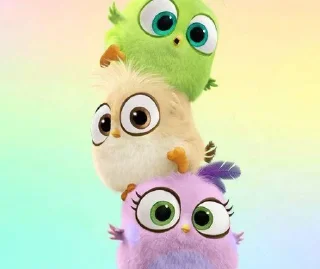 @stickersbag 💖 Angry birds 🌟