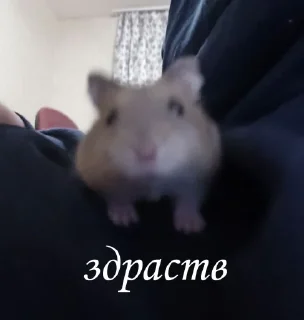 👋