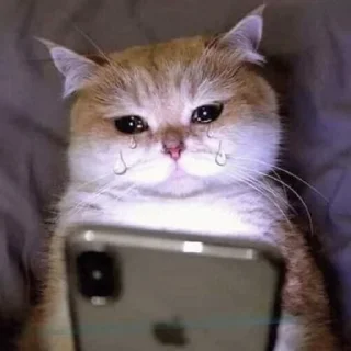 😢
