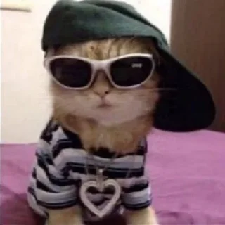 😎