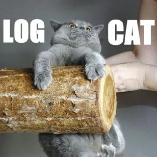 💪