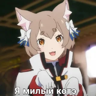 🐈