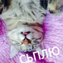 😴