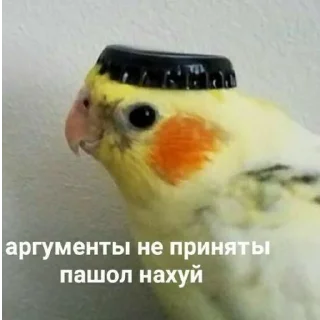 😑