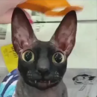 🥺
