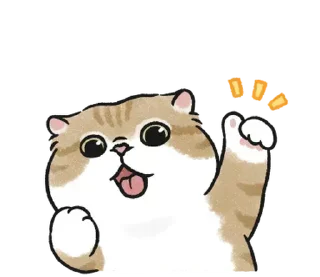 👍