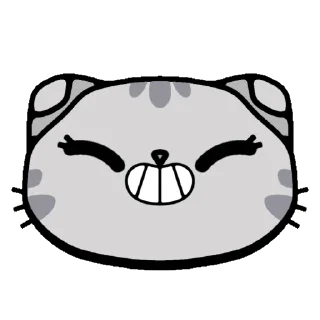 😸