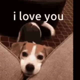 ❤️