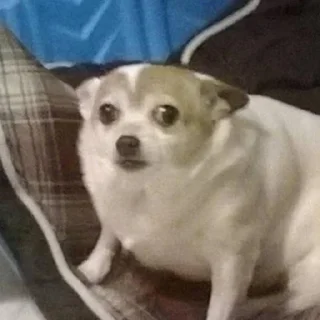 😕
