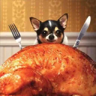🍗