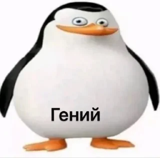 ✈️