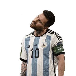🇦🇷
