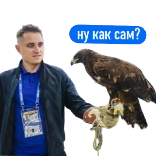 😎