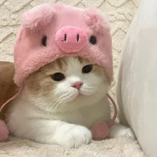 💝