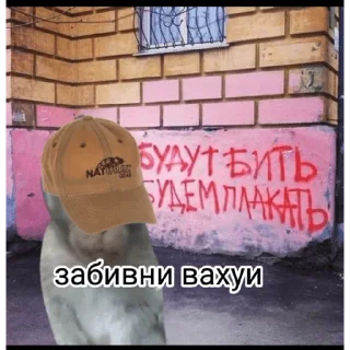 🐵