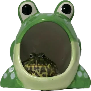 😮