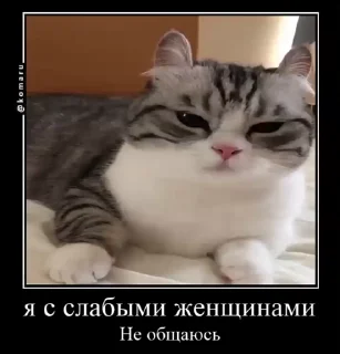 😃