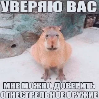 🥶