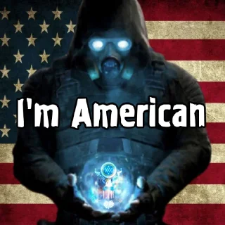 🇺🇸